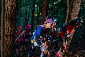 BIB: 
                            <button type="button" onclick="openModal(19212040)" class="btn btn-primary btn-sm float-right btn-popup" data-toggle="modal" data-target=".modal-high-quality">
                        <i class="fas fa-shopping-cart"></i> Add to Cart
                    </button>
                                            <button type="button" onclick="isThisMe(19212040, true)" class="btn btn-success btn-sm float-right btn-popup btn-isme hidden" data-toggle="tooltip" data-placement="bottom" title="นี่คือรูปของคุณใช่ไหม คลิกที่นี่เพื่อเอาเข้าอัลบั้ม">
                        <i class="fas fa-plus"></i> Add to album
                    </button>
                    <button type="button" onclick="isThisMe(19212040, false)" class="btn btn-warning btn-sm float-right btn-popup btn-isnotme hidden">
                        <i class="fas fa-ban"></i> Remove from album
                    </button>